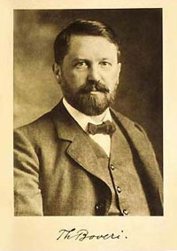 Theodor Boveri